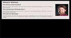 Desktop Screenshot of nilauro.com