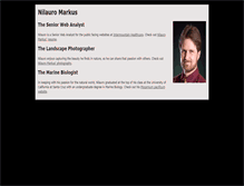 Tablet Screenshot of nilauro.com